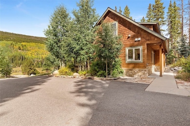 9 Davis Ct, Blue River, CO 80424 - photo 3