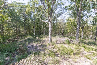 6.24 ACRES Barberry Ave, Columbia, MO 65202 - photo 6