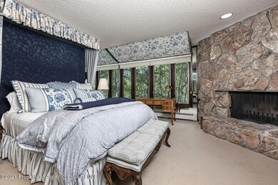1441 Crystal Lake Rd unit 2, Aspen, CO 81611 - photo 2