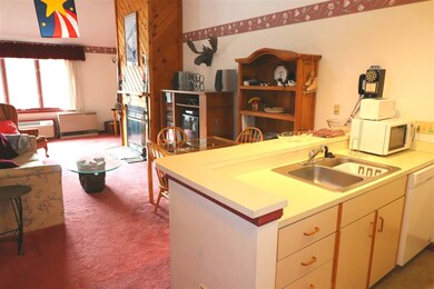 10 Lakeside Dr W unit 58, Woodstock, NH 03262 - photo 4
