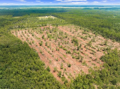 1628 Joe Dugger Rd, Freeport, FL 32439 - photo 7