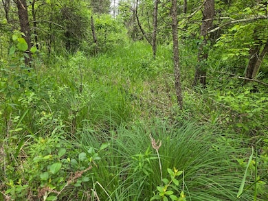 10 Acres 25th St, Necedah, WI 54646 - photo 2