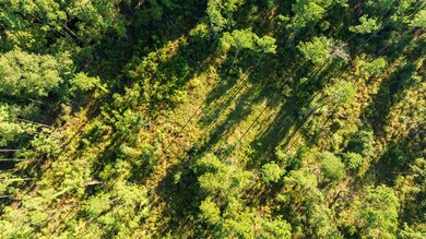 24398 Lot 17 Fm 3173, Broaddus, TX 75929 - photo 6