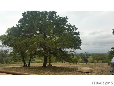 Oak Tree in Front of Home