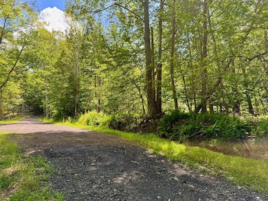 00 Kerness Rd, Wawarsing, NY 12428 - photo 5