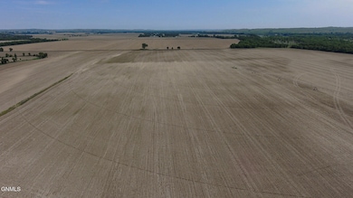 Lohstreter, Craig etal video 2025-2