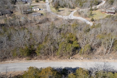 TBD Valley Dr, Holiday Island, AR 72631 - photo 6