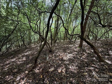 TBD Tellico Trail unit 42/22, Brevard, NC 28712 - photo 6