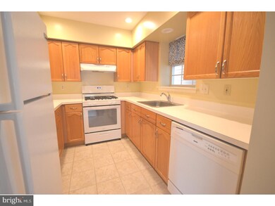 4023 Captain Molly Cir unit AIN, Doylestown, PA 18902 - photo 6