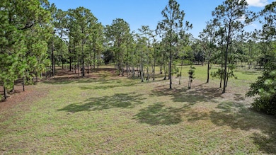 2795 Doe Trail, the Acreage, FL 33470 - photo 6