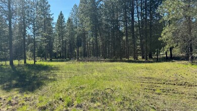 NHN Yaak River Rd, Yaak, MT 59935 - photo 3