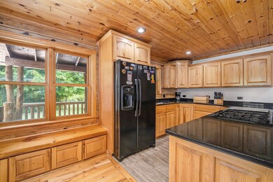 8751 Stoney Ridge Rd, Vanderbilt, MI 49795 - photo 5