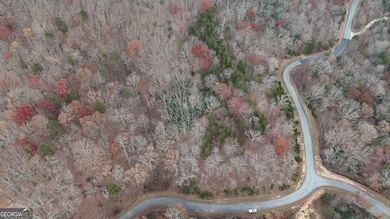 LOT 183 N Shore Dr, Cleveland, GA 30528 - photo 6