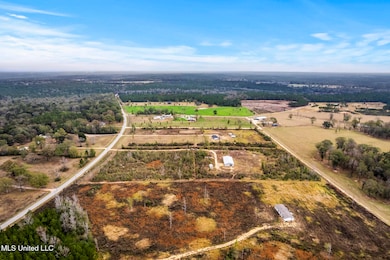 0 W Wire Rd unit 4133120, Perkinston, MS 39573 - photo 6