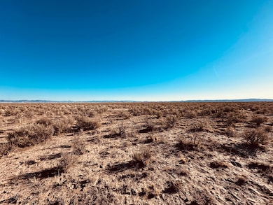 Desert Sage