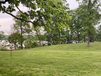 602 Raum Park Dr, Golconda, IL 62938 - photo 2