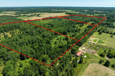 7-web-or-mls-DJI_0150-Edit