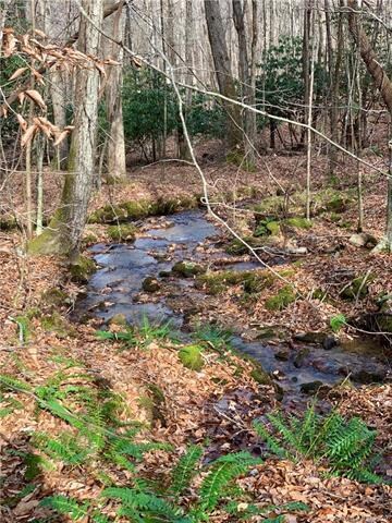 Well maintained nature trails within walking dista