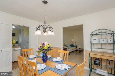 12306 Running Deer Rd, Manassas, VA 20112 - photo 4