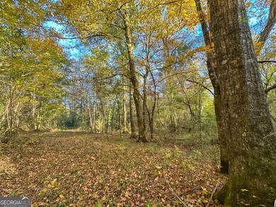 0 Jordon Rd unit 10652075, Waverly Hall, GA 31831 - photo 4