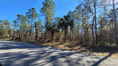 166 Daisy St, Homosassa, FL 34446 - photo 5