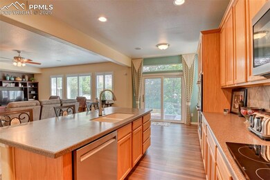 5718 Paladin Place, Colorado Springs, CO 80924 - photo 7