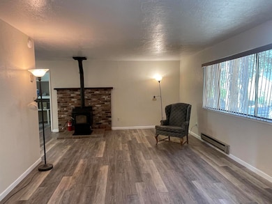 302 Mountain View Rd unit 2, Calpine, CA 96124 - photo 5