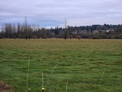 255xx NE 138th St, Duvall, WA 98019 - photo 6