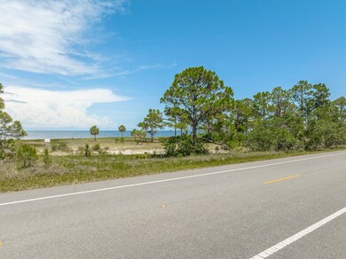 722 Bald Point Rd, Panacea, FL 32346 - photo 5