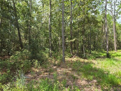 0 Fish Hatchery Rd unit 2460470, Lacombe, LA 70445 - photo 3