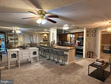 213 Bradley Ave, Haddonfield, NJ 08033 - photo 4