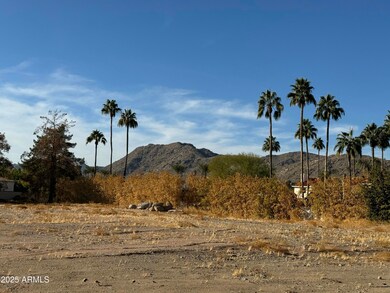 stately mummy mountain views