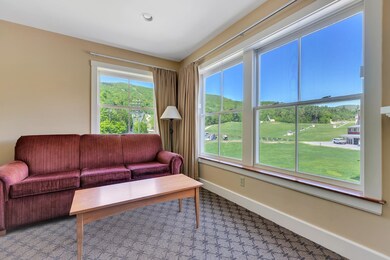 111 Jackson Gore Rd unit 209 QTR IV, Ludlow, VT 05149 - photo 6