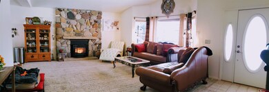 865 S Grand Mesa Dr, Cedaredge, CO 81413 - photo 7