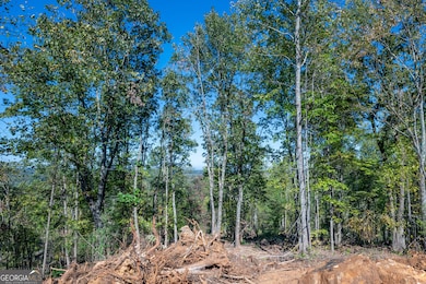 3887 Hwy 140 NE, Rydal, GA 30171 - photo 3