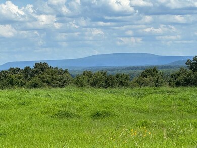 TBD River Rd, Coal Hill, AR 72832 - photo 4