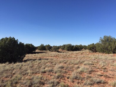 Ranch of the White Mountains Lot 43