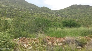 0 Goodenough Trail unit Lot 9 22525009, Vail, AZ 85641 - photo 2