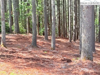 Lot 37 Smoke Rise Path, West Jefferson, NC 28694 - photo 3