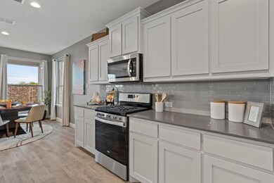 2321 Waggoner Ranch Dr, Weatherford, TX 76087 - photo 7