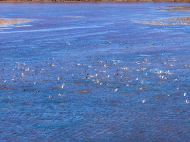 404 Crow St, McAlester, OK 74501 - photo 3