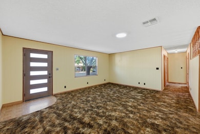 203 Broadmoor Dr, Fredericksburg, TX 78624 - photo 4