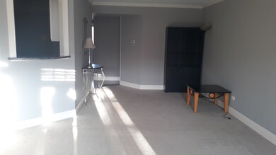 615 Quincy Bridge Ln unit 302, Glenview, IL 60025 - photo 6