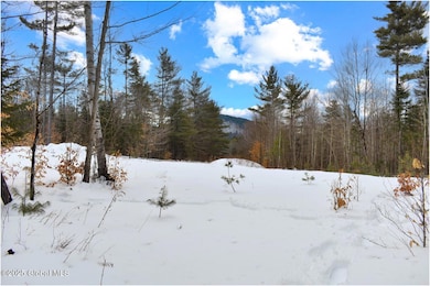 L87 Highview Ln unit Lot 3, Wevertown, NY 12886 - photo 2