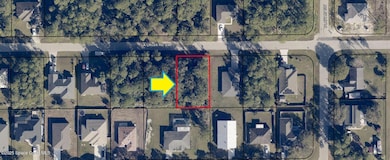 426 La Croix Rd SW, Palm Bay, FL 32908 - photo 3