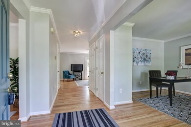 8412 Flower Ave, Takoma Park, MD 20912 - photo 5