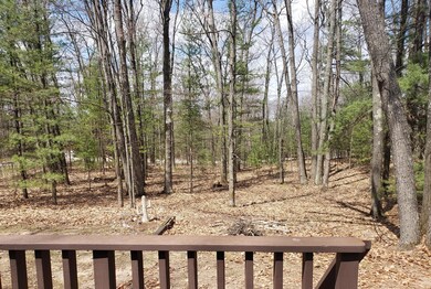 Woods