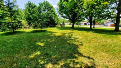 Gorgeous Onekama Lot/Land ~9 ACRES