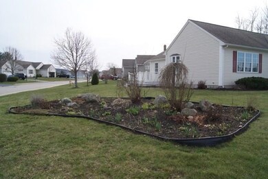 Beautiful perennial flower gardens+