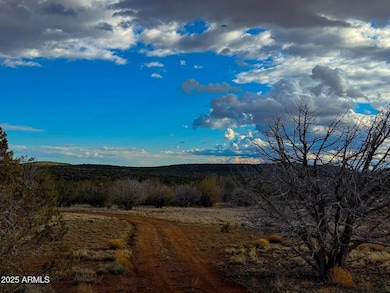 10500 W Big Moon Ln, Ash Fork, AZ 86320 - photo 7